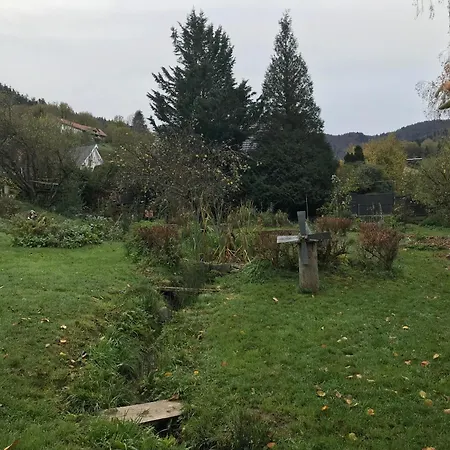 Holiday home Monts Et Merveilles Mollau